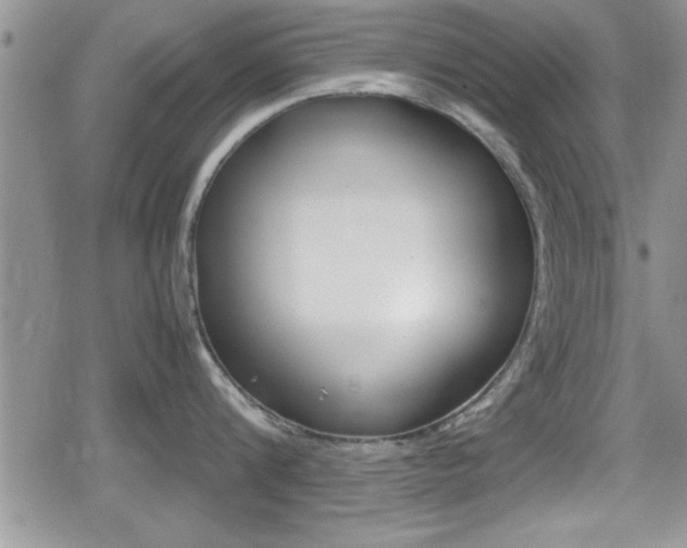 X0000080810816200612151056