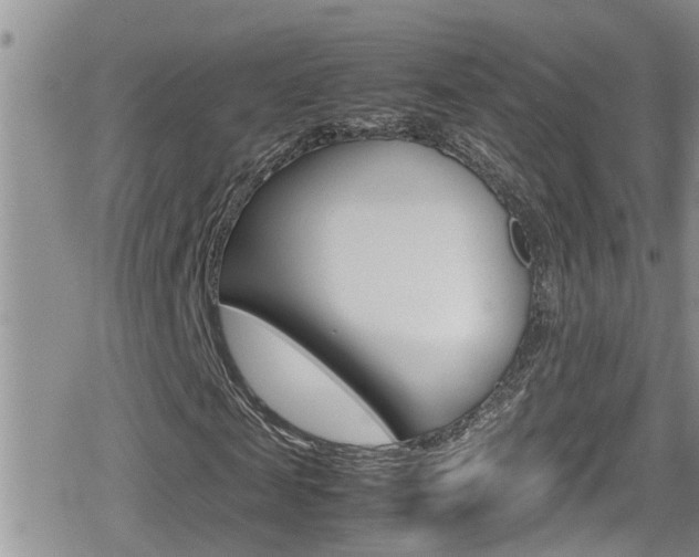 X0000080810817200612151055