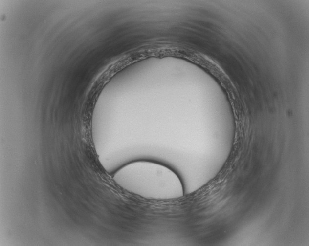 X0000080810823200612151055