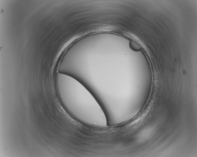 X0000080810835200612151056