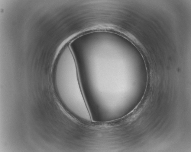 X0000080810838200612151056