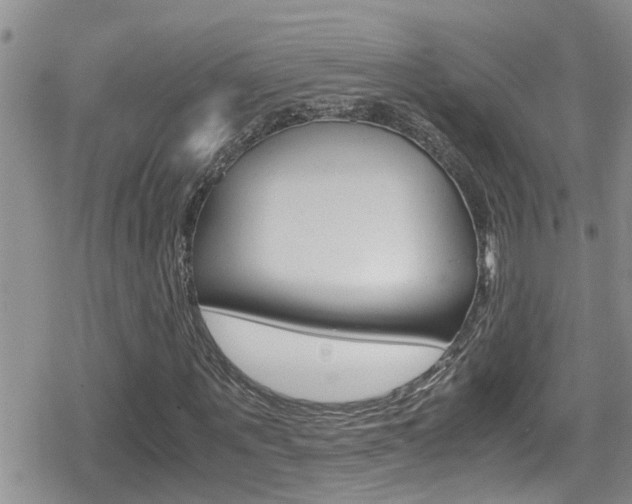 X0000080810867200612151055