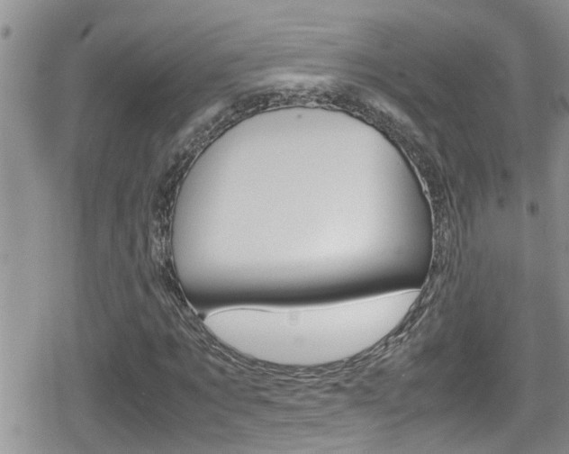 X0000080810869200612151055