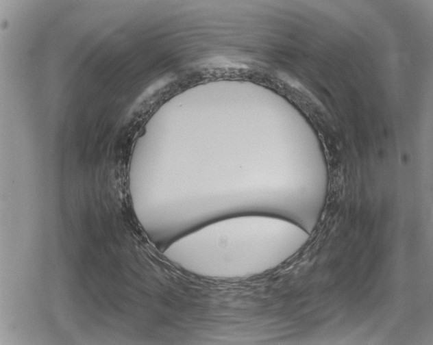 X0000080810870200612151055