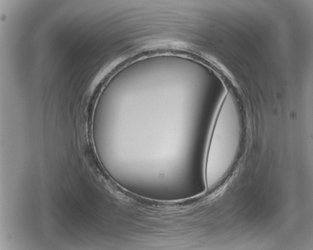 X0000080810877200612151055