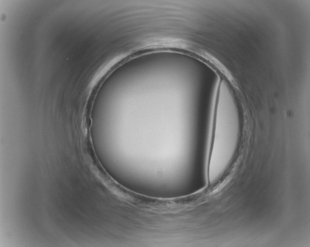 X0000080810885200612151055