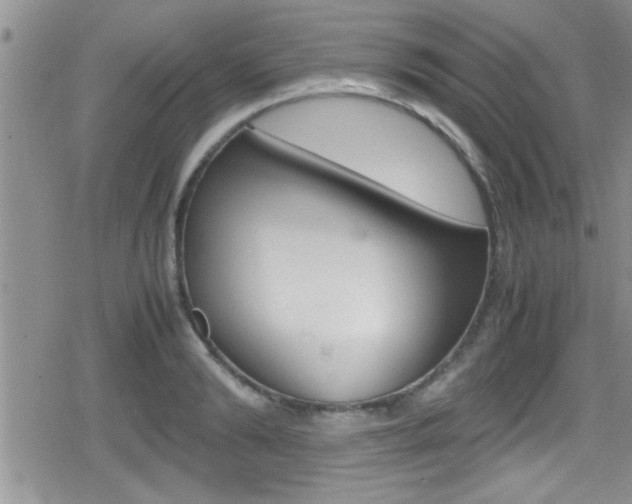 X0000080810894200612151055