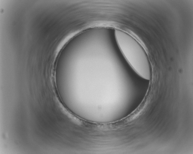 X0000080810901200612151055