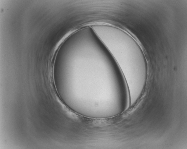 X0000080810909200612151054