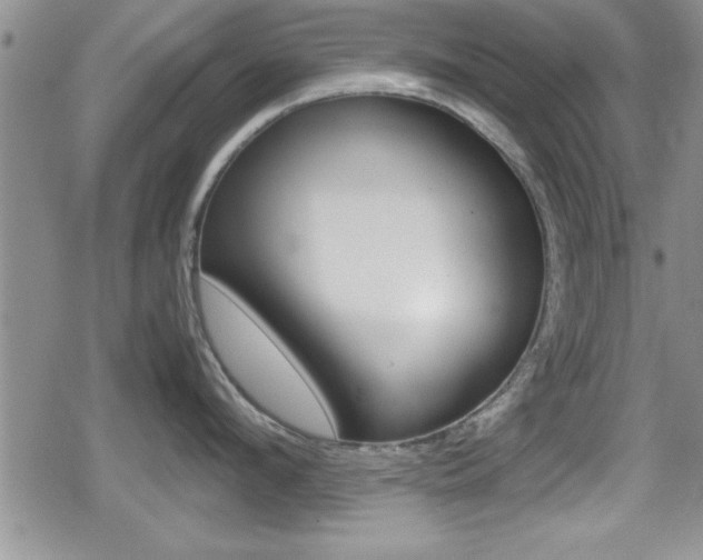 X0000080810912200612151054