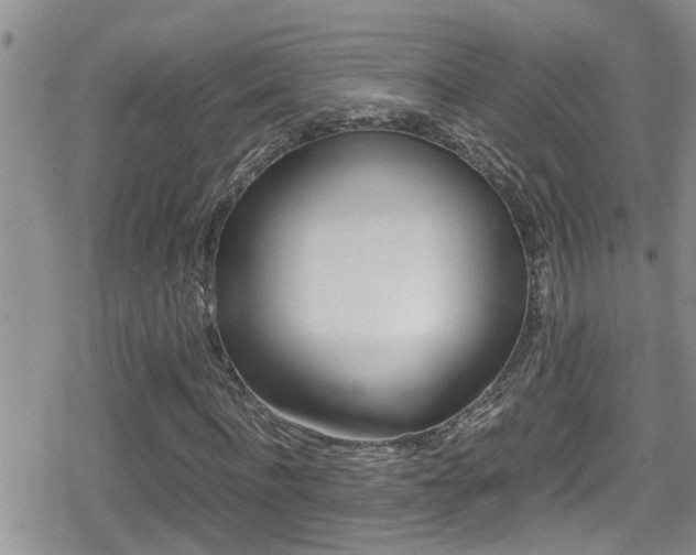 X0000080810916200612151054