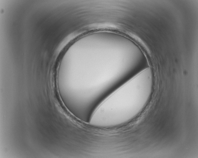 X0000080810983200612151053
