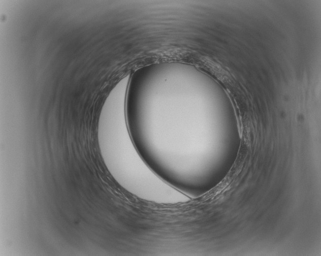 X0000080811010200612151052