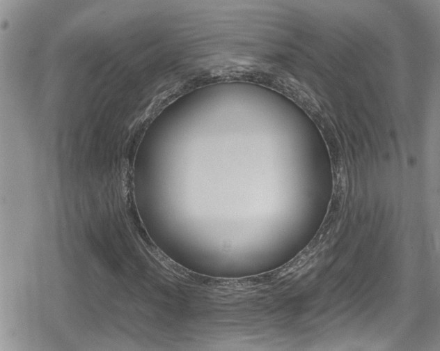 X0000080811012200612151052