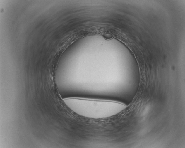 X0000080811013200612151052