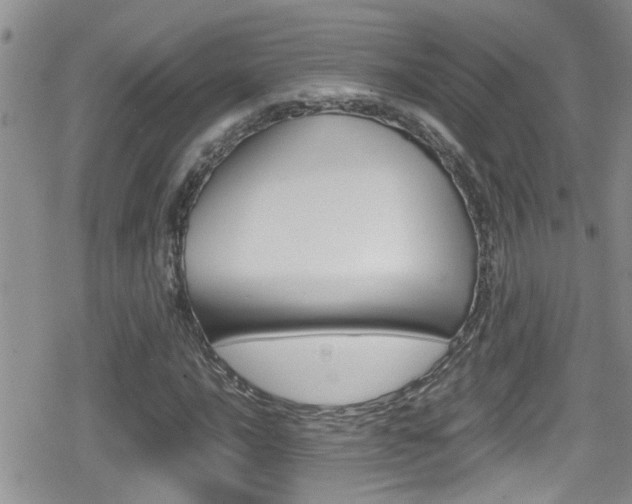 X0000080811016200612151052