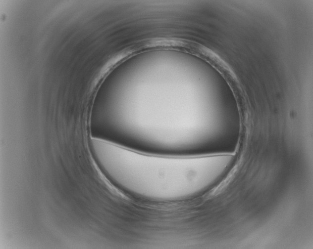 X0000080811033200612151052