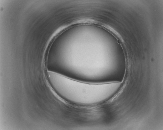 X0000080811037200612151052
