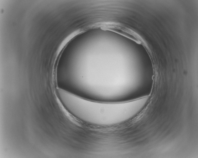 X0000080811050200612151053
