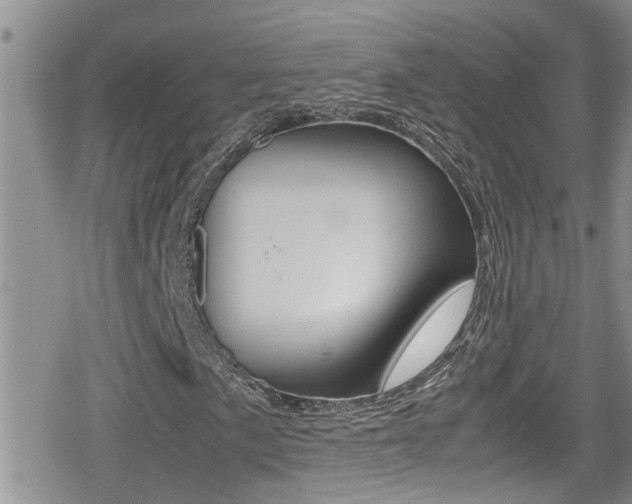 X0000080811057200612151052
