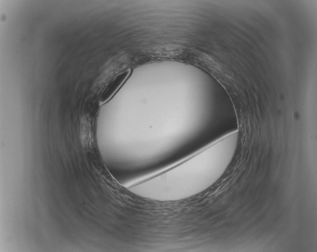 X0000080811058200612151052
