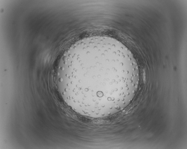 X0000080811059200612151052