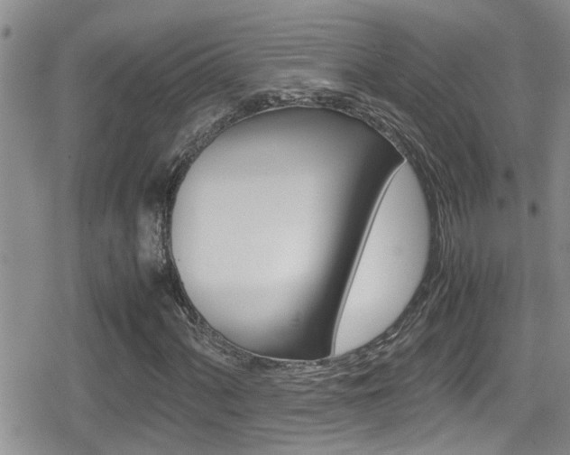 X0000080811060200612151052
