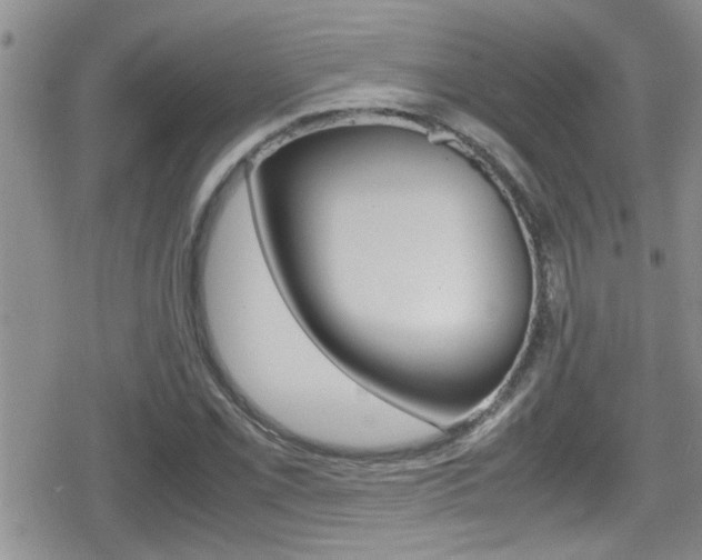 X0000080811069200612151052