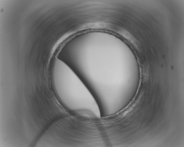 X0000080811070200612151052
