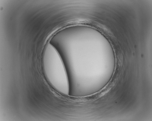 X0000080811073200612151052