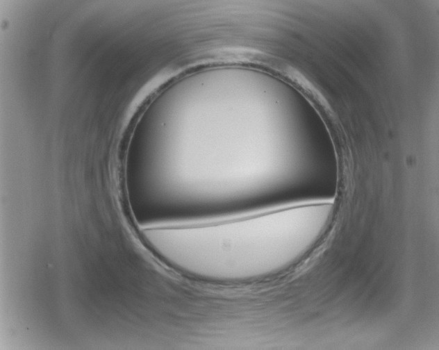X0000080811085200612151052