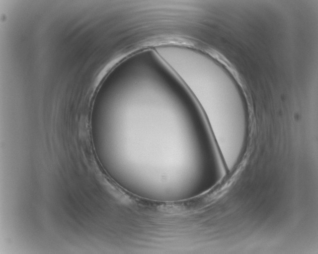 X0000080811089200612151051