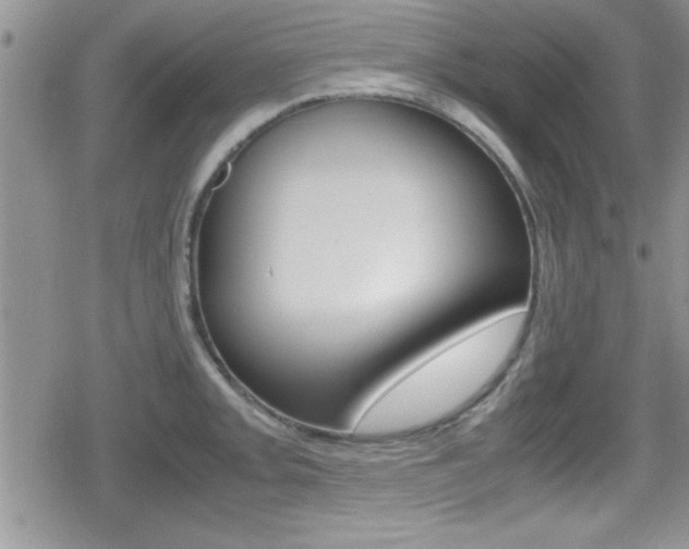 X0000080811093200612151051