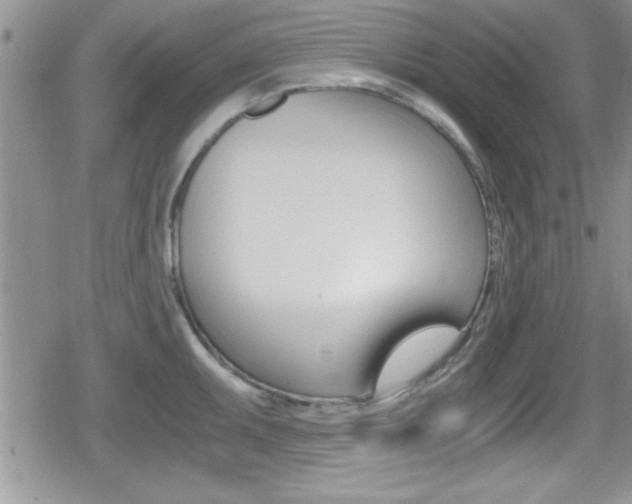 X0000080811095200612151051