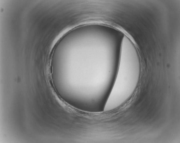 X0000080811101200612151051