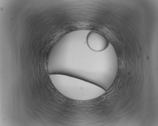X0000080811106200612151050