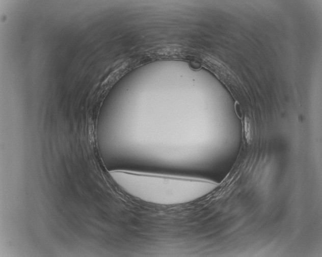 X0000080811107200612151050
