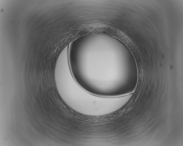 X0000080811108200612151050