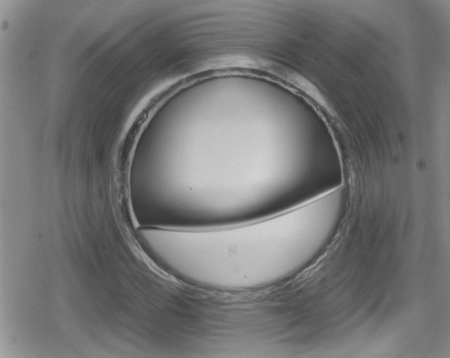 X0000080811116200612151051