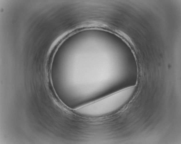 X0000080811120200612151051