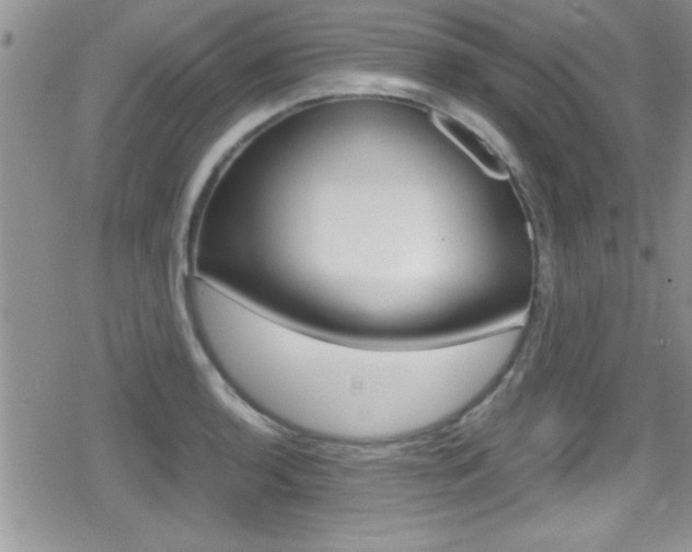 X0000080811136200612151051