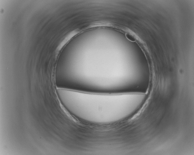 X0000080811137200612151051