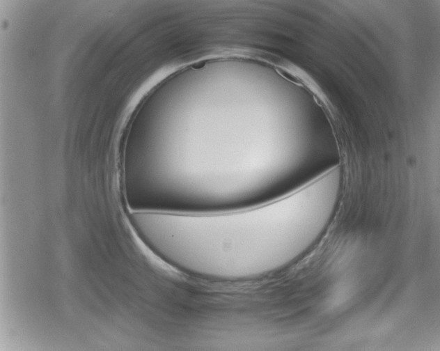 X0000080811143200612151051