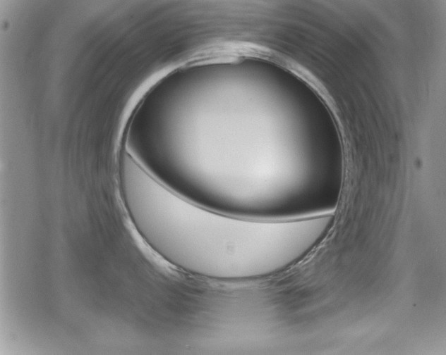 X0000080811152200612151051