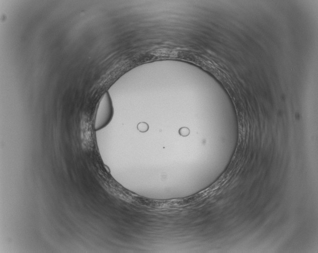 X0000080811154200612151050