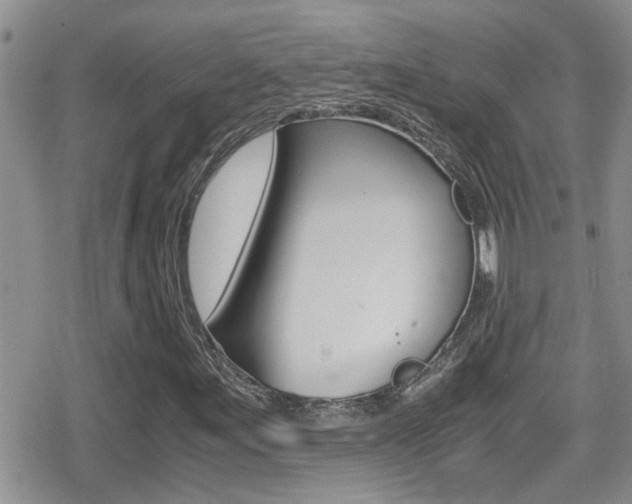 X0000080811155200612151050