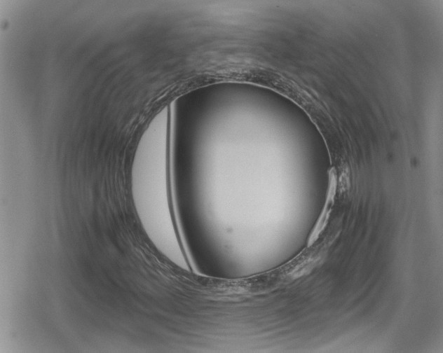X0000080811156200612151050