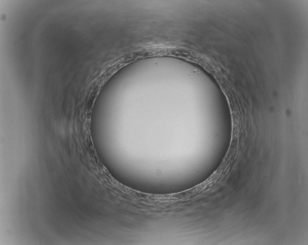 X0000080811157200612151050
