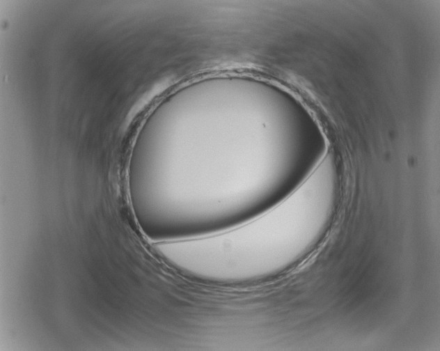 X0000080811165200612151050