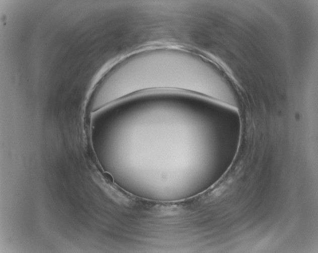 X0000080811168200612151050